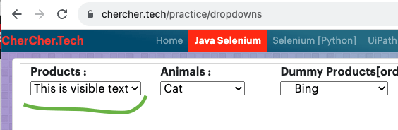 Select By Value Playwright Python Dropdown Testercoder